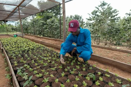 RAMBAGIRAKAWA_Ruli_farm